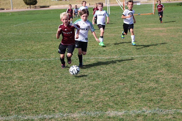 色的锋线轮 色的锋线轮