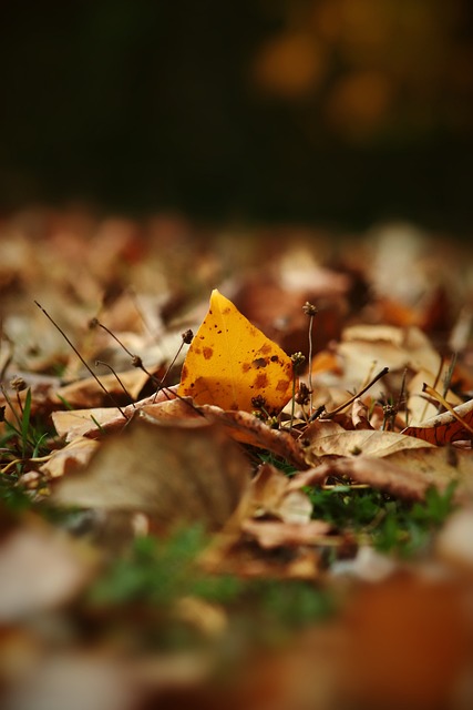 现出了极高 现出了极高