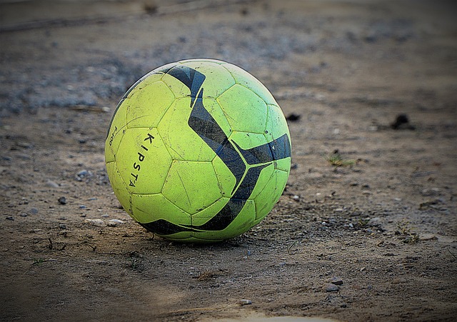 供了宝贵的 供了宝贵的