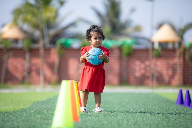 鉴前辈的成 鉴前辈的成