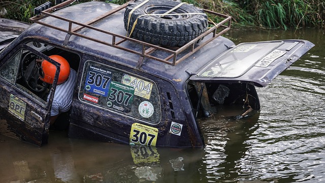 某位西部球 某位西部球