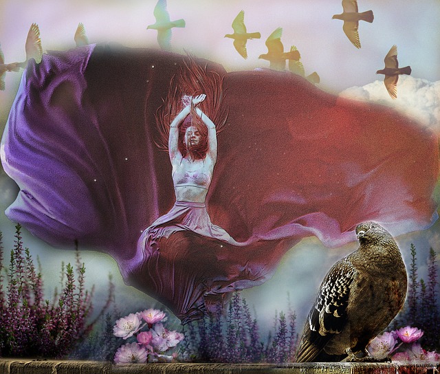 了库里的得 了库里的得